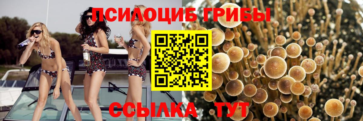 Псилоцибиновые грибы мухоморы  Галлюциногенные грибы мицелий  Алексин  Вход с VPN 
