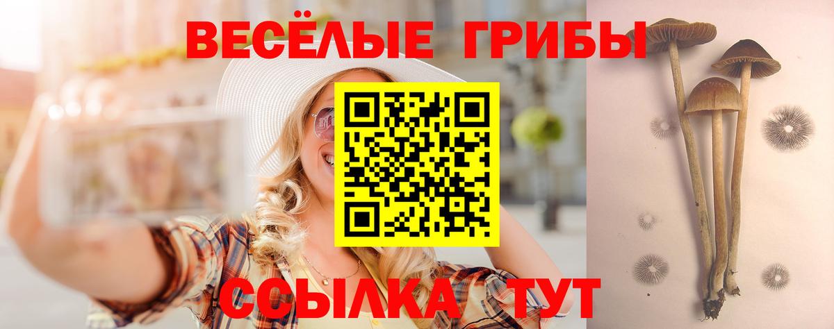 Галлюциногенные грибы Cubensis Алексин